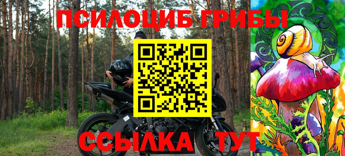 Галлюциногенные грибы Magic Shrooms  Вход с VPN  Михайловск 