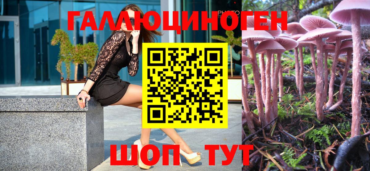 Псилоцибиновые грибы мицелий Михайловск